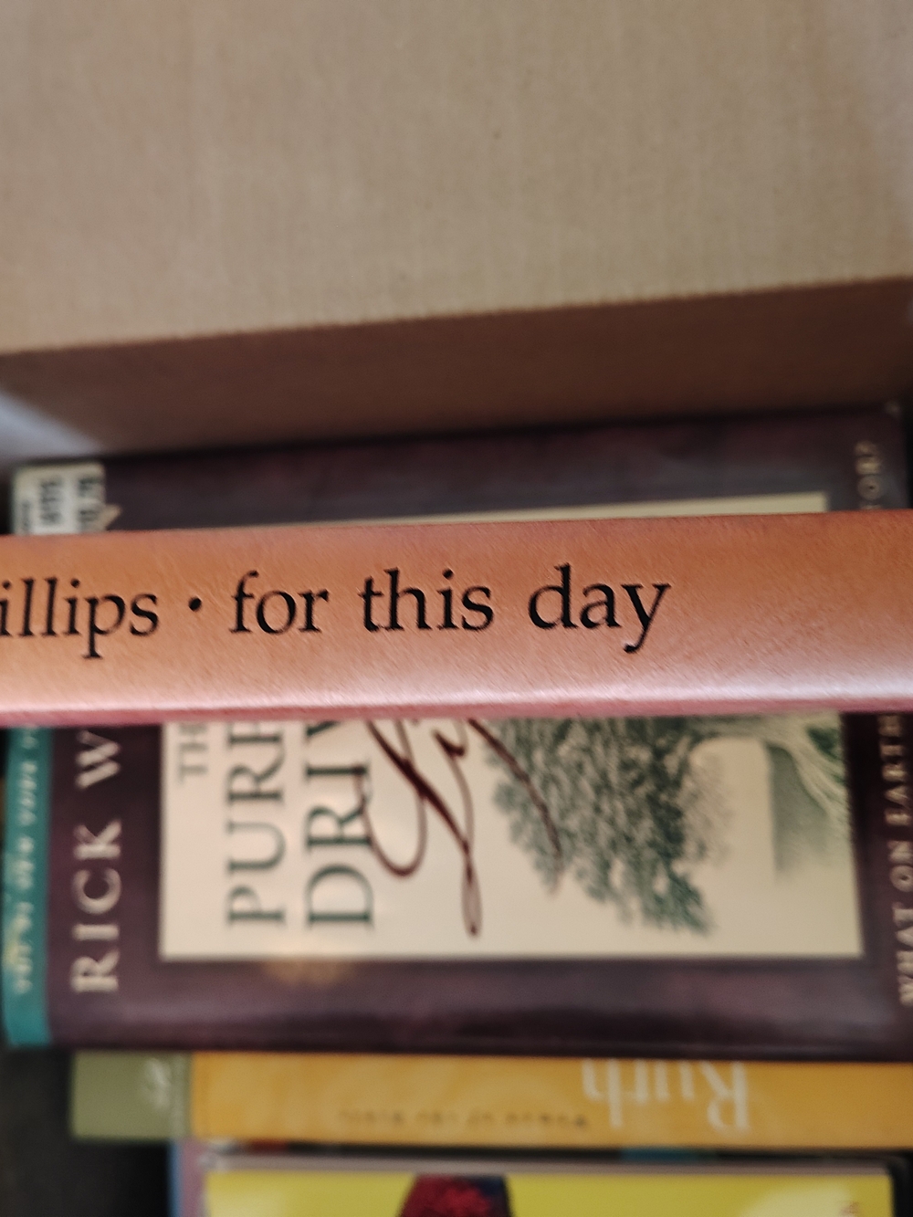 Leather Book Spine Accent - Tan